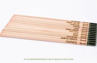 Sprout Pencil